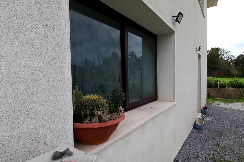 Casa Di Ale,Gabry E Nina Apartment Iglesias Exterior photo